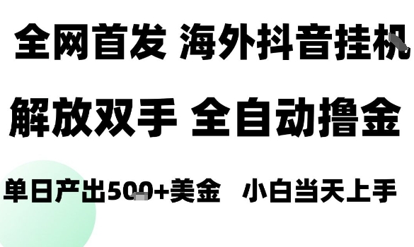海外抖音无人直播,单日产出1.5k+,长期稳定,新手可玩,无脑操作【揭秘】-缔富岛
