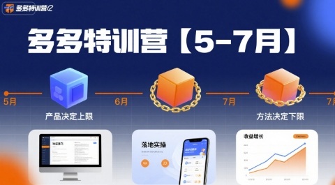 多多特训营,产品决定上限,方法决定下限,各种玩法技巧落地实操(更新)-缔富岛
