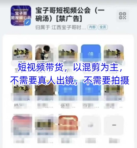 宝子哥头部团队短视频带货,以混剪为主,不需要真人出镜,不需要拍摄【更新9月】-缔富岛